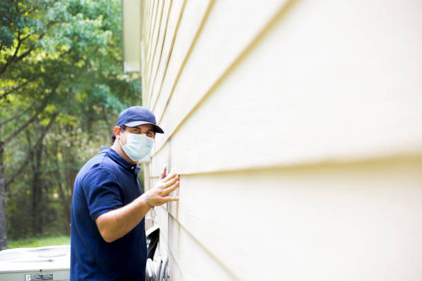 Best Siding Removal and Disposal  in Jonesboro, IL